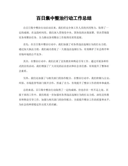 百日集中整治行动工作总结