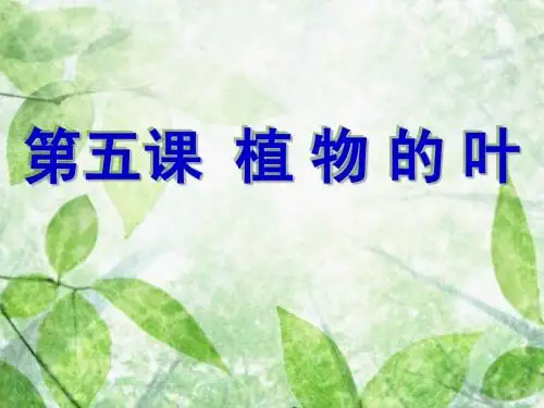 三年级上册植物的叶