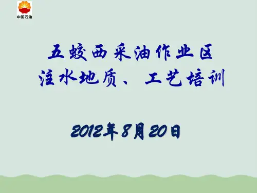 采油作业区注水地质、工艺培训(PPT 50页)