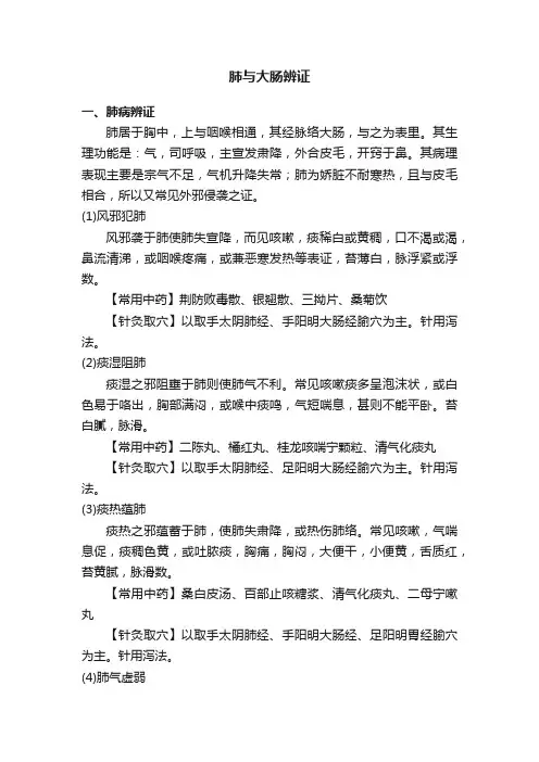 肺与大肠辨证