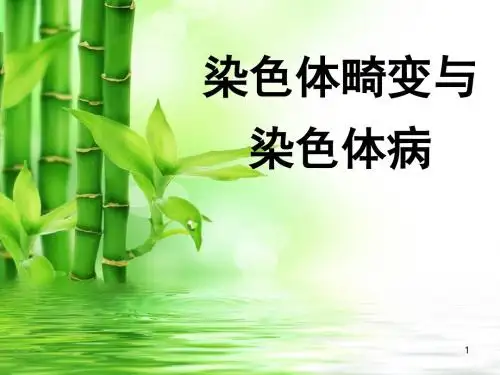 染色体畸变与染色体病_培训课件-PPT精选文档