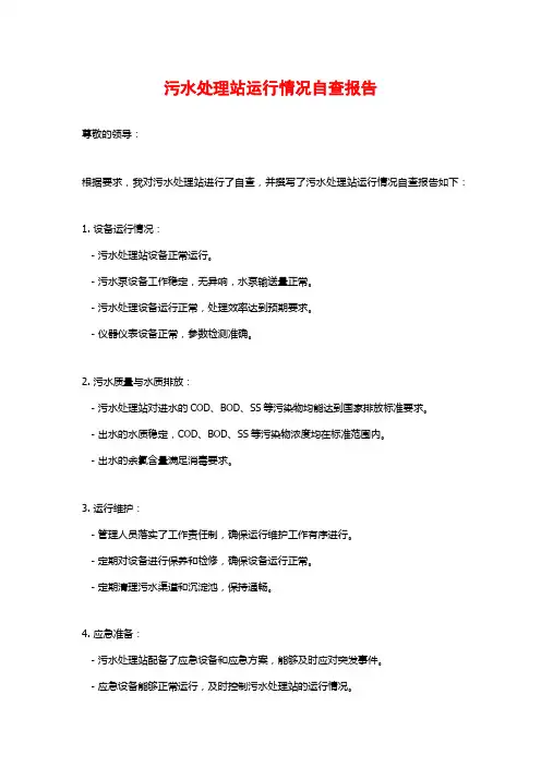 污水处理站运行情况自查报告