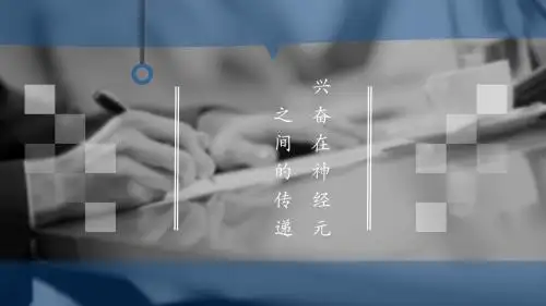 兴奋在神经元间的传递PPT