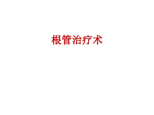 根管预备技术ppt