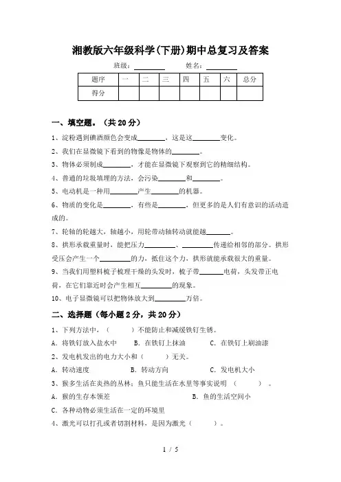 湘教版六年级科学(下册)期中总复习及答案