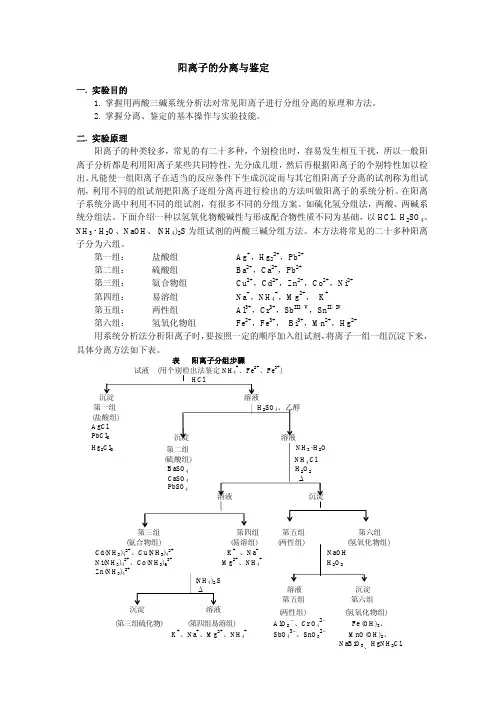 阳离子的分离与鉴定