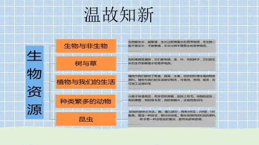 冀教版新版小学科学三年级下册第六课《仙人掌与莲》