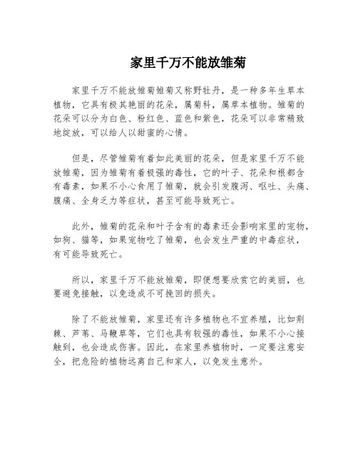 家里千万不能放雏菊