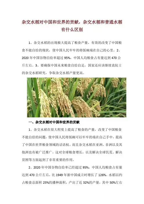 杂交水稻对中国和世界的贡献,杂交水稻和普通水稻有什么区别
