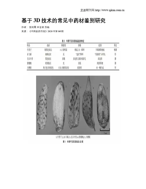 基于3D技术的常见中药材鉴别研究