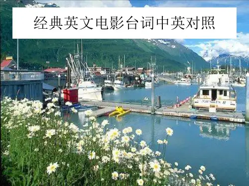 经典英文电影台词中英对照
