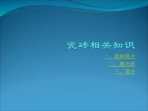 瓷砖知识详解