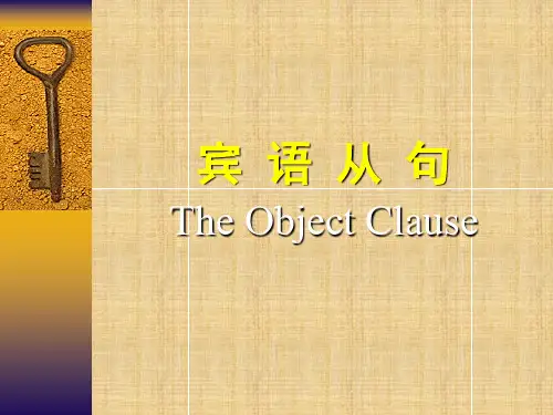 宾语从句详解及练习PPT精编版