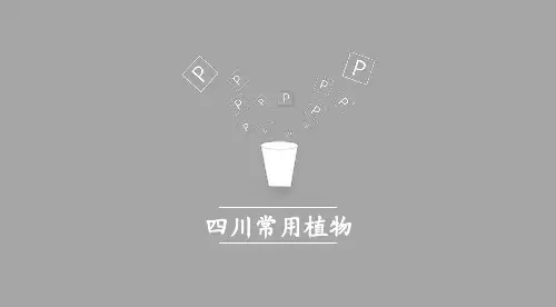 四川植物
