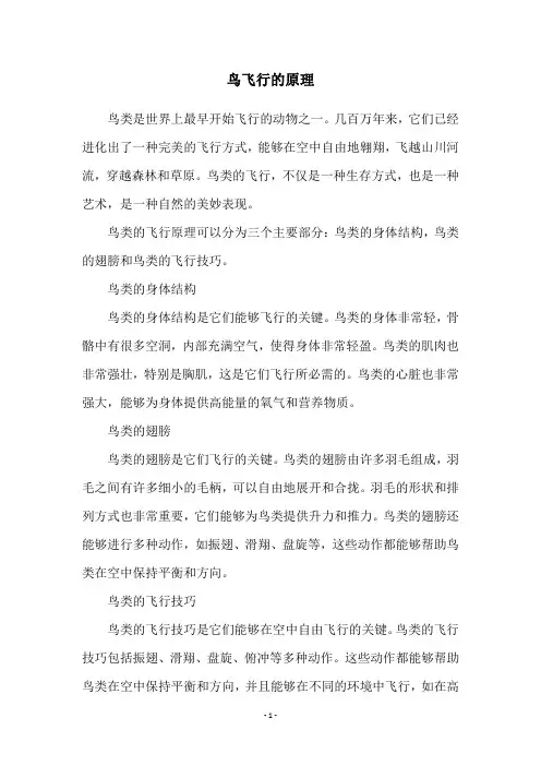 鸟飞行的原理