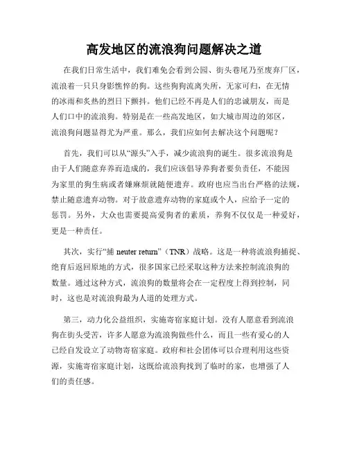 高发地区的流浪狗问题解决之道