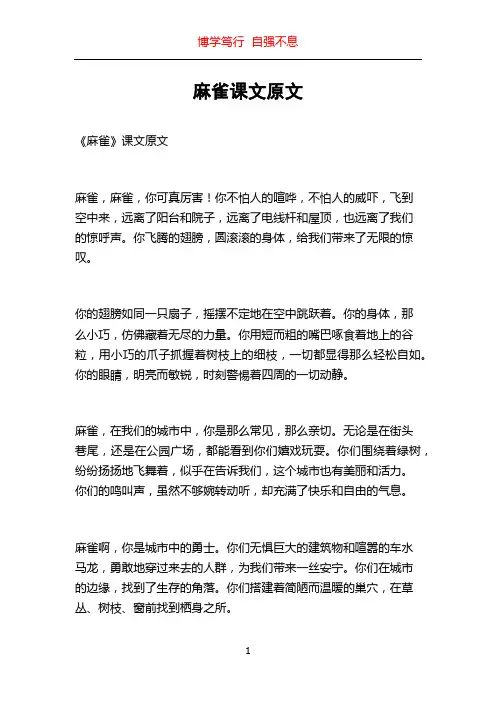 麻雀课文原文