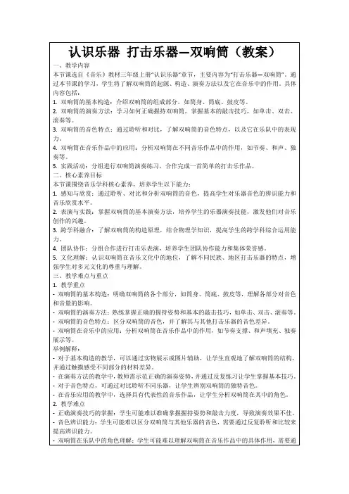 认识乐器打击乐器—双响筒(教案)