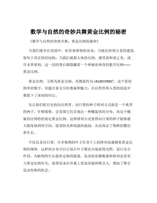 数学与自然的奇妙共舞黄金比例的秘密