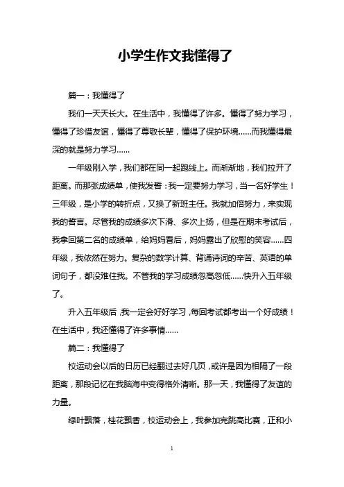 小学生作文我懂得了