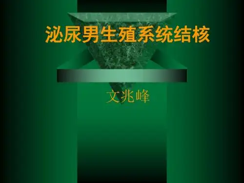 泌尿男生殖系统结核