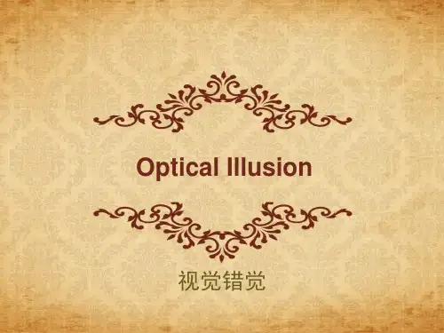 Optical Illusion视觉错觉
