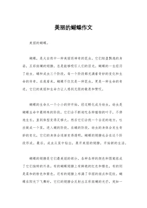 美丽的蝴蝶作文