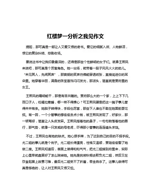 红楼梦一分析之我见作文