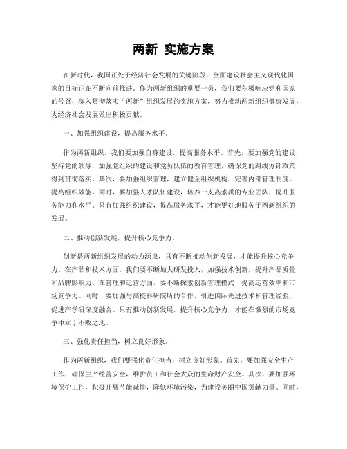 两新 实施方案