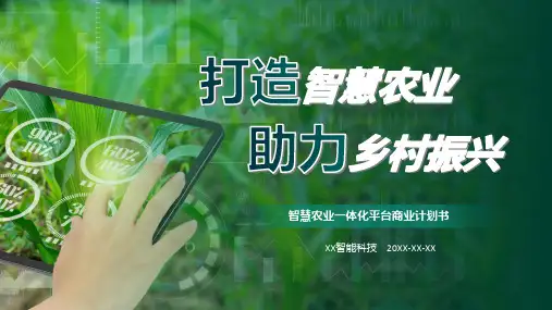 绿色智慧农业一体化平台商业计划书