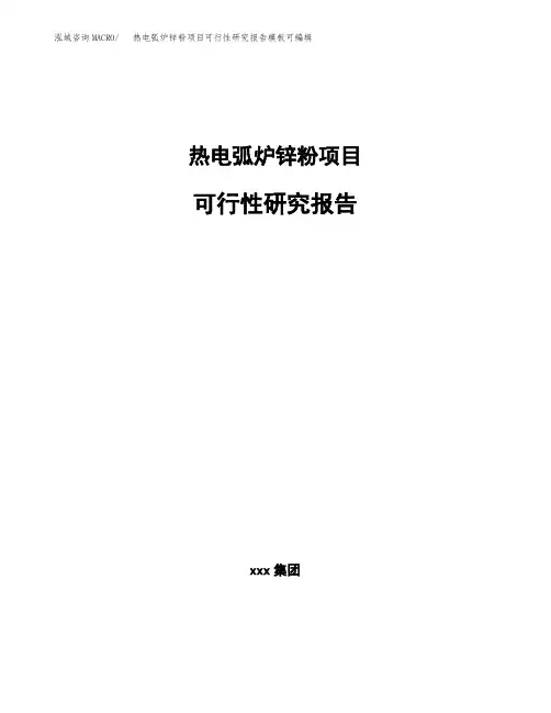 热电弧炉锌粉项目可行性研究报告模板可编辑
