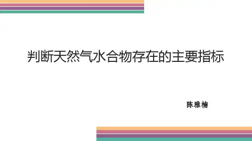 判断天然气水合物存在的主要指标