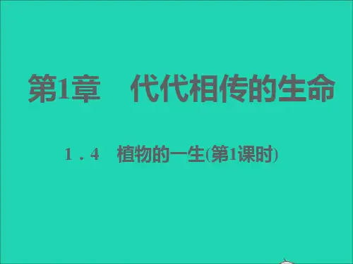 七年级科学下册第1章代代相传的生命1-4植物的一生第1课时习题课件新版浙教版