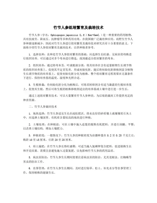 竹节人参组培繁育及栽培技术