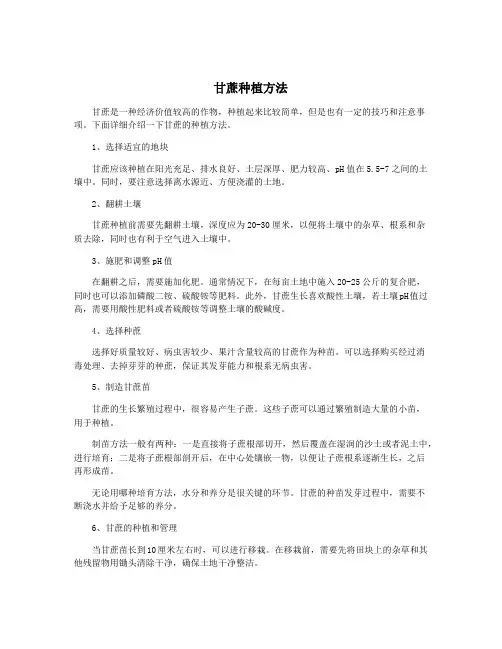甘蔗种植方法