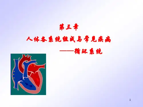 循环系统及其常见疾病