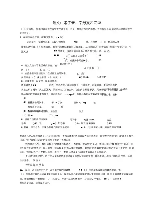 语文中考字音、字形复习专题