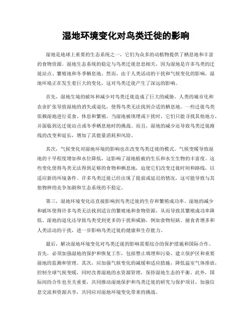 湿地环境变化对鸟类迁徙的影响