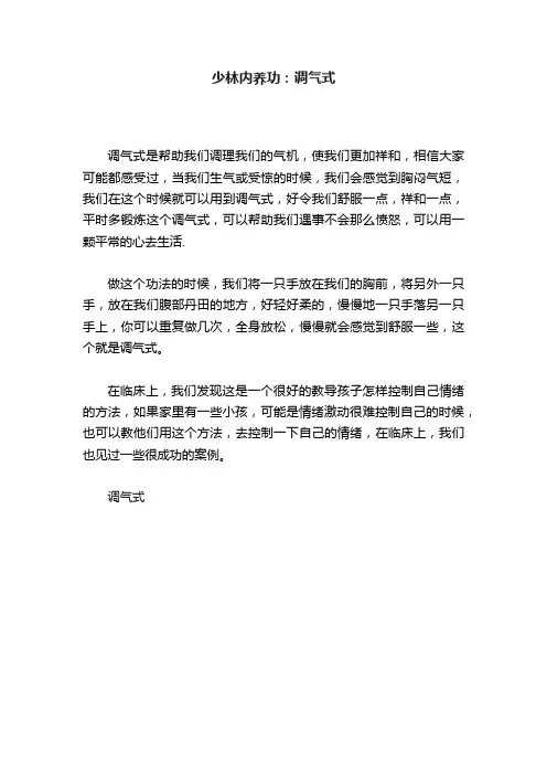 少林内养功：调气式