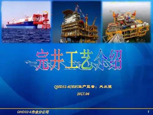 01 完井工艺介绍