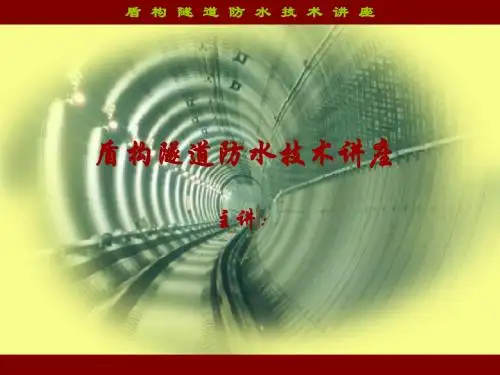 盾构防水讲座