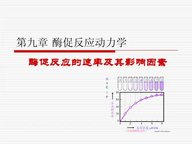中国海洋大学资料 酶促反应动力学