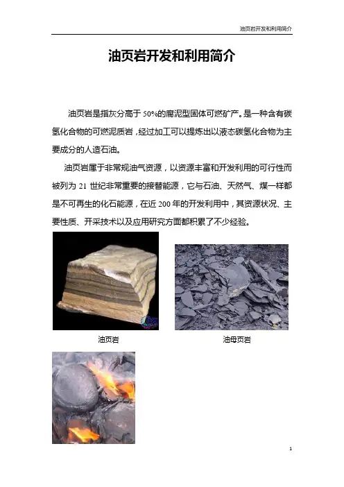 油页岩开发和利用简介