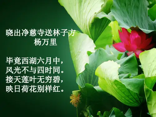 《荷塘月色》课件