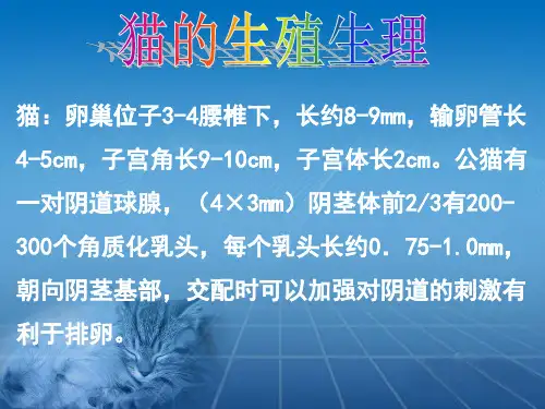 犬猫的生殖生理