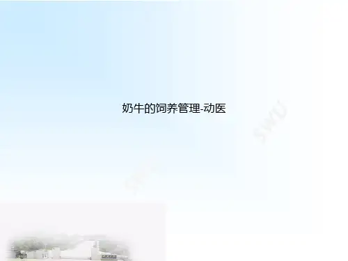 奶牛的饲养管理-动医