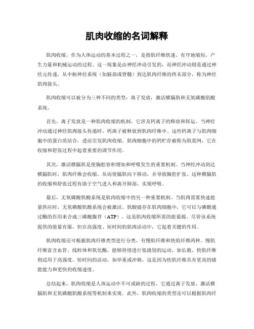 肌肉收缩的名词解释