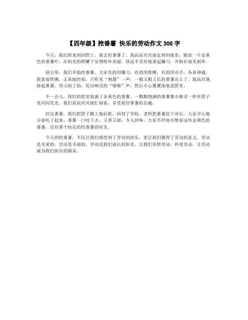 【四年级】挖番薯 快乐的劳动作文300字
