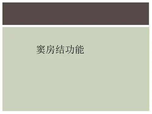 窦房结功能