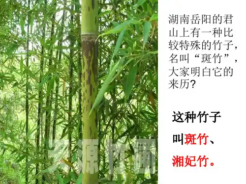《湘夫人》PPT精品课件